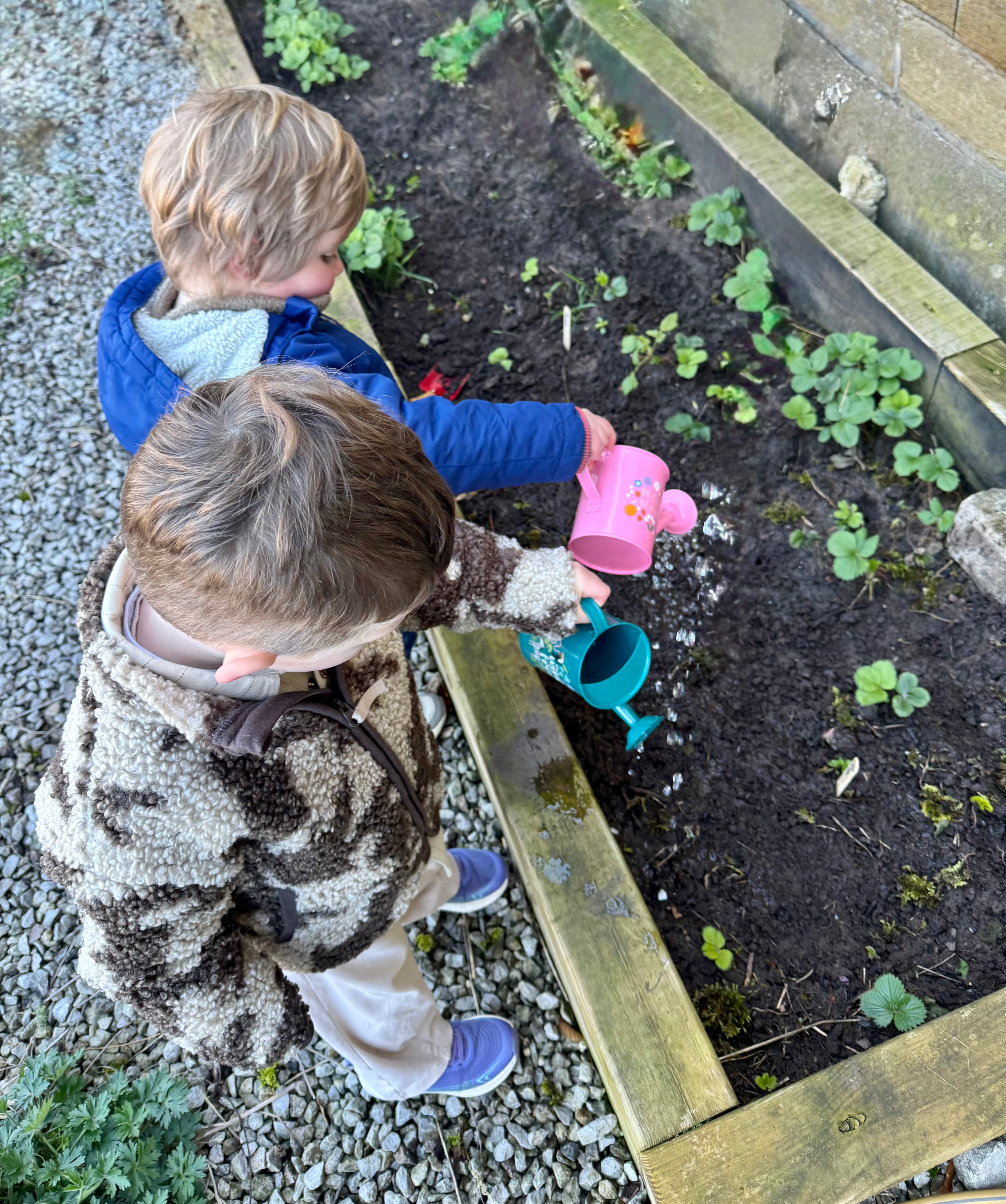 Outdoor Play
